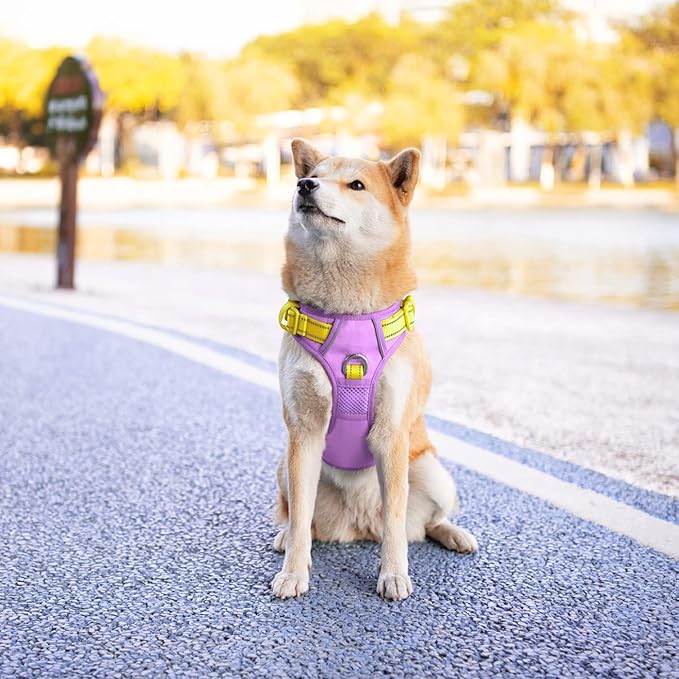 PHOEPET No Pull Dog Harness, Unique Colors Reflective Adjustable Dog Vest, with Soft Training Handle Metal Clips for Small Medium Large Dogs (Baby Purple Base & Yellow Straps,M)
