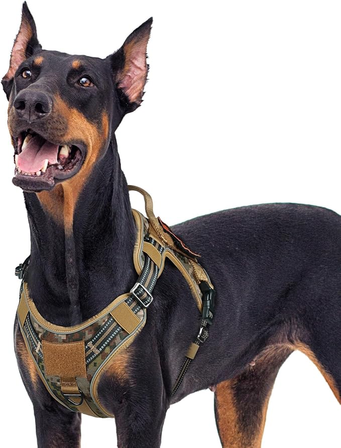 rabbitgoo Dog Harness for Large Dogs No Pull, Tactical Service Pet Vest with Molle and Control Handle, Adjustable and Reflective Military Harness for Easy Walking and Training, Desert camo, XL