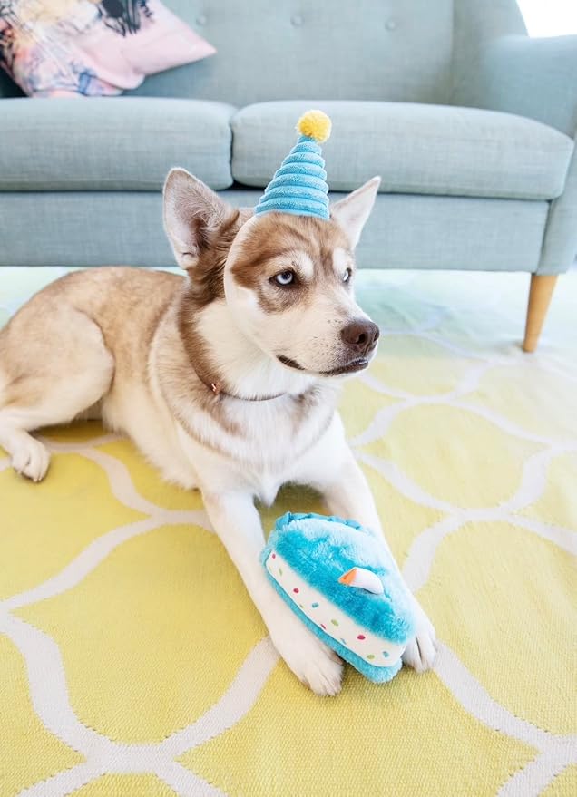 ZippyPaws Birthday Box - Dog Squeaky Toys to Keep Them Busy, Funny Food Plush for Small, Medium, & Large Dogs, Cute Stuffed Puppy Toy & Hat, Pet Products, Gift for Dogs of All Breeds - 3-Pack