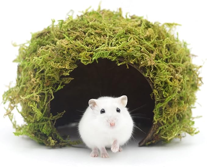 Hamster Hideout - Large, Natural Moss, Handcrafted for Syrian Hamsters, Rats & Guinea Pigs, Safe & Eco-Friendly