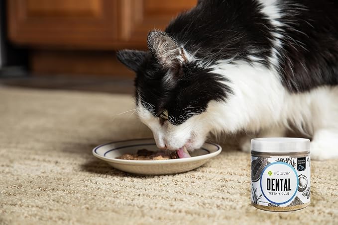 InClover Dog and Cat Dental Powder for Teeth Cleaning and Enamel and Gum Health, Natural Pet Supplement, Breath Freshener - Naturally Flush Away Tartar, No Brushing Necessary