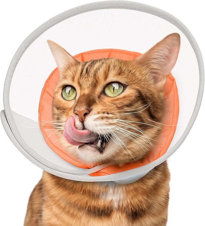Cat Cone Collar Soft: Comfortable Waterproof Mesh Recovery Cone After Surgery to Stop Licking and Scratch, Alternative to Plastic Elizabeth Head/Neck Cone