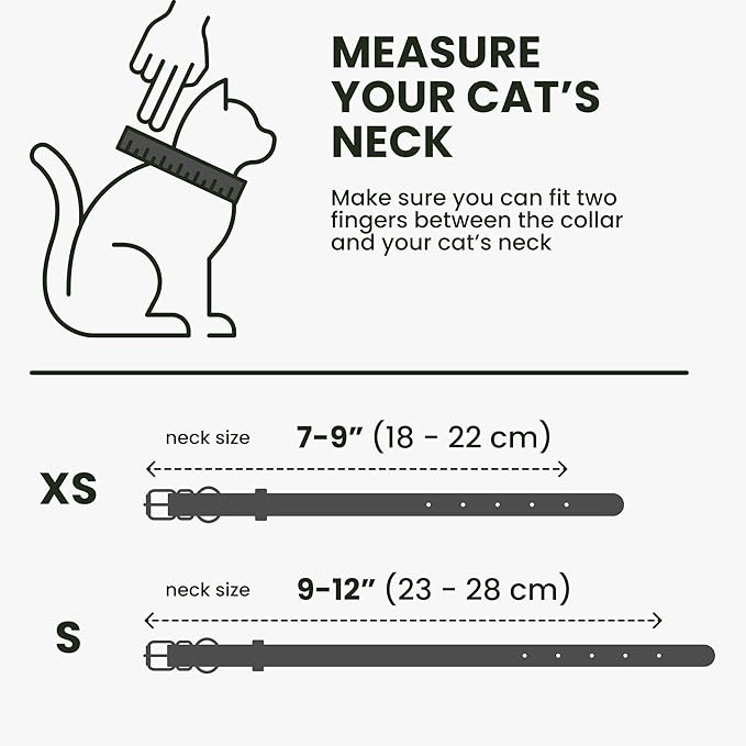 BRONZEDOG Leather Cat Collar with Removable Bells Non Breakaway Kitten QR Tag for Girl Boy (9" - 12" Cats/Mini Dogs, Black & Silver)