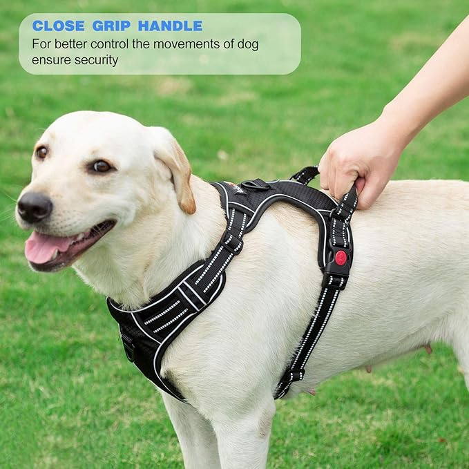 No Pull Dog Harness Adjustable Reflective Oxford Easy Control Medium Large Harness with A Free Heavy Duty 5ft Dog Leash