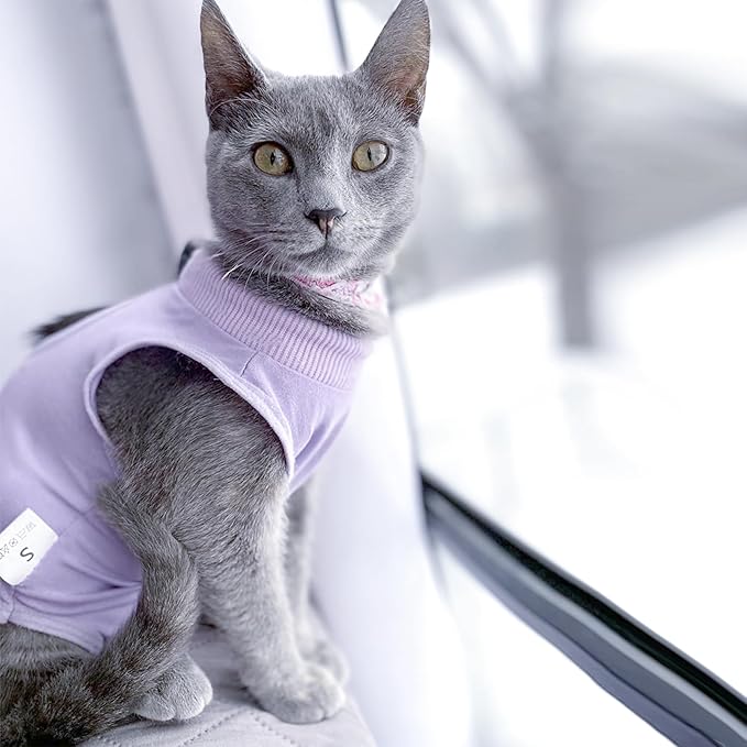 DOTON Cat Recovery Suit for Male and Female Surgical Post Surgery Soft Cone Onesie Shirt Clothes Neuter Licking Protective Diapers Outfit Cover Kitten Spay Collar(M, Purple)