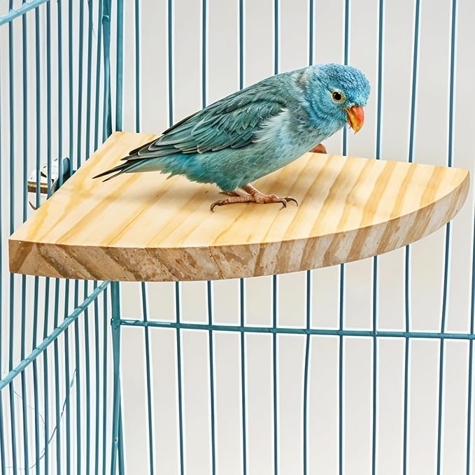 Bird Perch Platform Stand Wooden Parrot Perch Corner 6.7 Inches Fan Shape Playground Cage Accessories Parrot Stand Flat Perches for Bird Cages Corner Shelf for Birds Parrots Hamster Gerbil