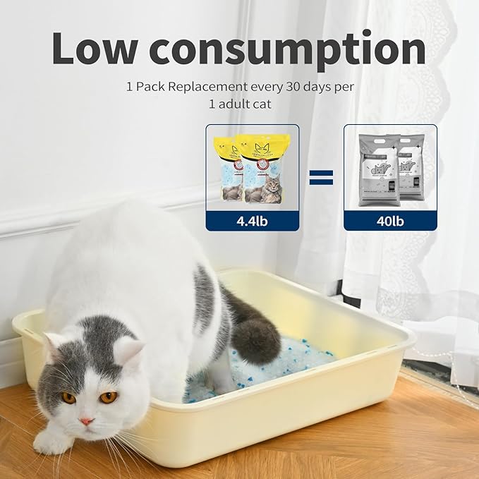 Cat Litter Crystals No Clumping Odor Control Kitty Litter Non-Clumping No scooping Low Dust, Low Tracking, Dehydrates Waste - 8.6 lbs (2 x 4.3 lb Packs)