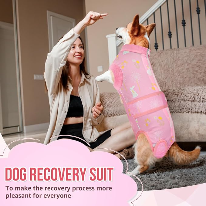 Lukovee Recovery Suit for Dogs, Zipper On Recovery Suit for Female Male Dog, Onesie Abdominal Wounds Cone E-Collar Alternative Prevent Licking Spay Recovery Suit (Large, A-Pink)