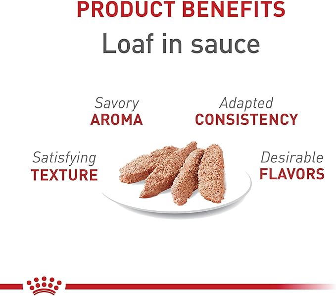 Royal Canin Feline Health Nutrition Adult Instinctive Loaf in Sauce Canned Cat Food, 5.1 oz can (24-count)