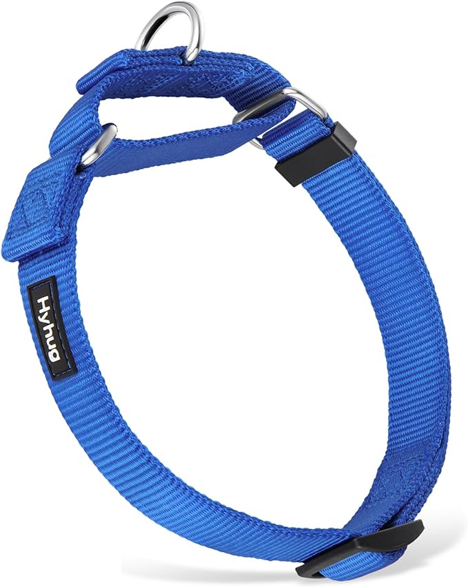 Hyhug Heavy Duty Nylon Escape-Proof Martingale Dog Collar for Large Giant Breeds Dogs Comfy and Safe Collar - Daily Use Walking and Professional Training.(Large,Bright Blue)