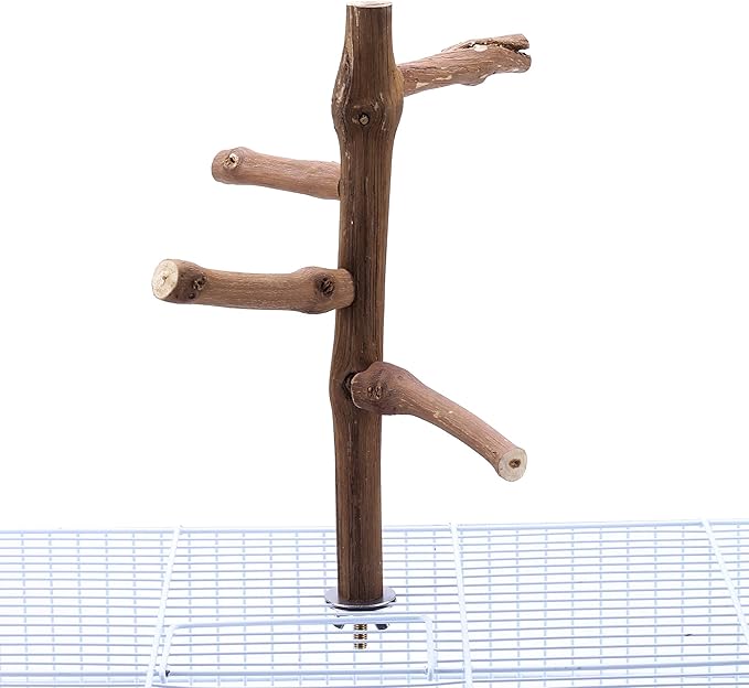 Bird Perch Stand Toy, Natural Grapevine Wood Parrot Perch Bird Cage Branch Accessories for Parakeets Cockatiels Conures Macaws Finches Love Birds(9.8" Length)