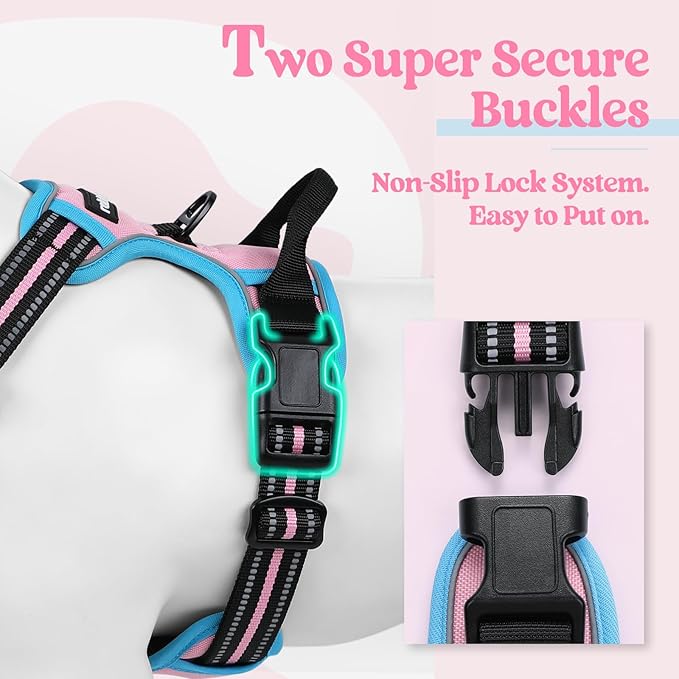 rabbitgoo Dog Harness No Pull with 2 Leash Clips, Adjustable Soft Padded, Reflective Oxford No Choke Pet Vest with Easy Control Handle for Large Dogs, Pink & Blue, XL