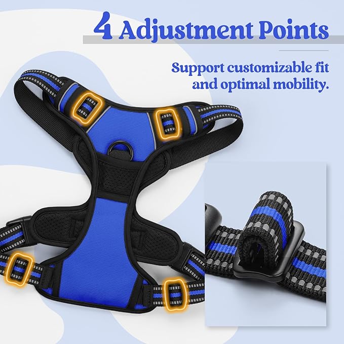 rabbitgoo Dog Harness No Pull with 2 Leash Clips, Adjustable Soft Padded, Reflective Oxford No Choke Pet Vest with Easy Control Handle for Medium Sized Dogs, Dazzling Blue, M