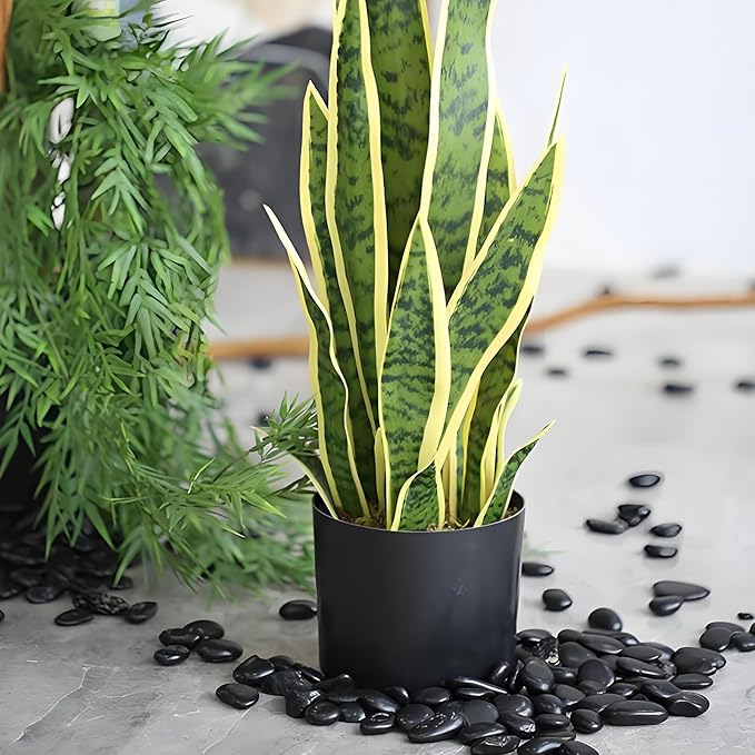 2 lbs Black Pebbles for Indoor Plants, 3/8 inch Decorative Rocks, Black River Rocks for Succulent Potted Plant, Vase, Aquarium, Landscaping and Outdoor Garden Rocks