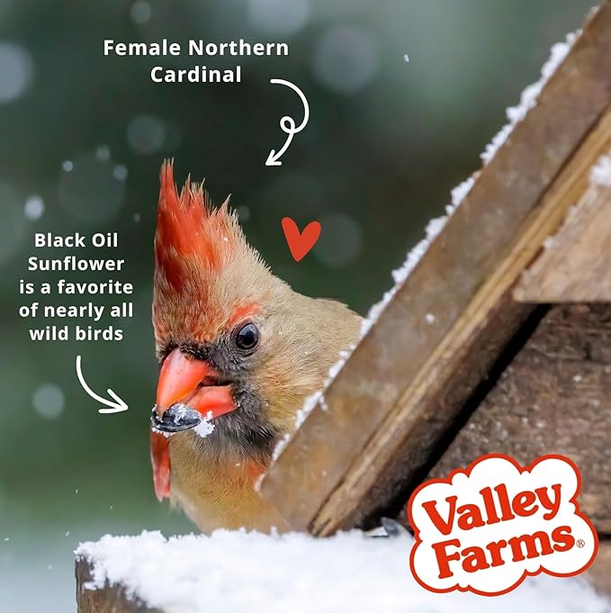 Valley Farms Fruit Nut & Berry Wild Bird Food for Outside Feeders, Bird Seed with Dried Fruit, Peanuts, Sunflower, and Safflower, High Energy Mix for Healthy Birds! (15 LBS)
