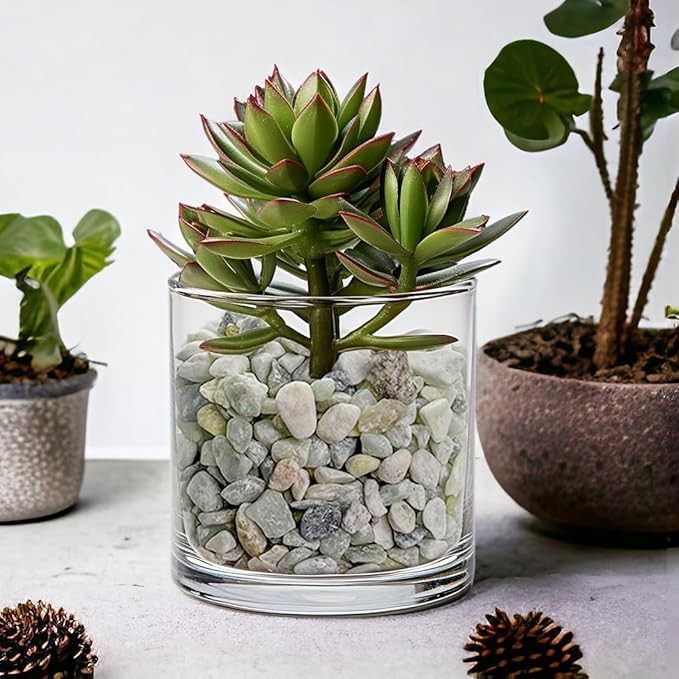 Small Natural Rocks Decorative Pebbles Tiny Gravel for Aquarium Gravels,Fish Turtle Tank,Soil Cover, Indoor Outdoor Garden Succulent Plants Top Dressing,Zen Garden,Vase Fillers,2 LB,Light Green Mix