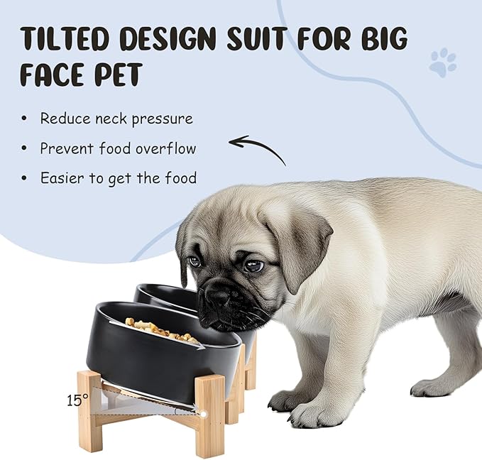 SPUNKYJUNKY 15° Slanted Ceramic Dog and Cat Bowl with Wooden Stand, Tilted Bulldog Food and Water Bowl No Slip Non-Spill for Cats Medium Dogs Big Face Pets 13.5 OZ (1.7 Cups, Black × 2)