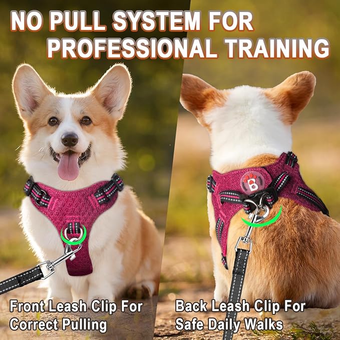 Dog Harness Step in Dog Vest Harness, Reflective Adjustable Puppy No Pull Harness Breathable Soft for Small and Medium Dogs Cats, Pink/Black, XS