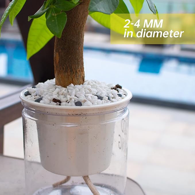 3lb White Cactus Pea Gravel Rocks,1/4 Inch Pebbles for Indoor Plants, Natural Succulent Rock and River Rocks Decorative for Aquariums, Vases, Outdoor Gardening, Top Dressing for Potted Plants