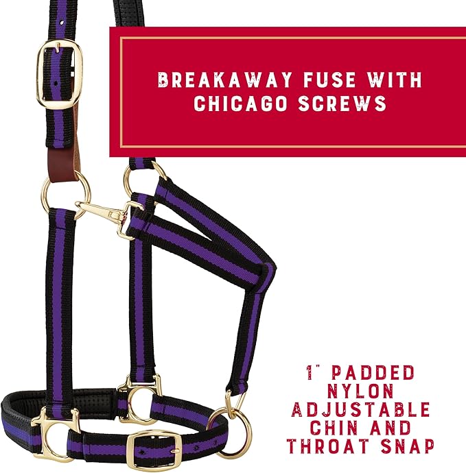 Weaver Equine Breakaway Horse Halter, Comfort Foam Padding, Adjustable Chin & Throat Snap Halters for Horses, Equine Tack,Average Size, Purple