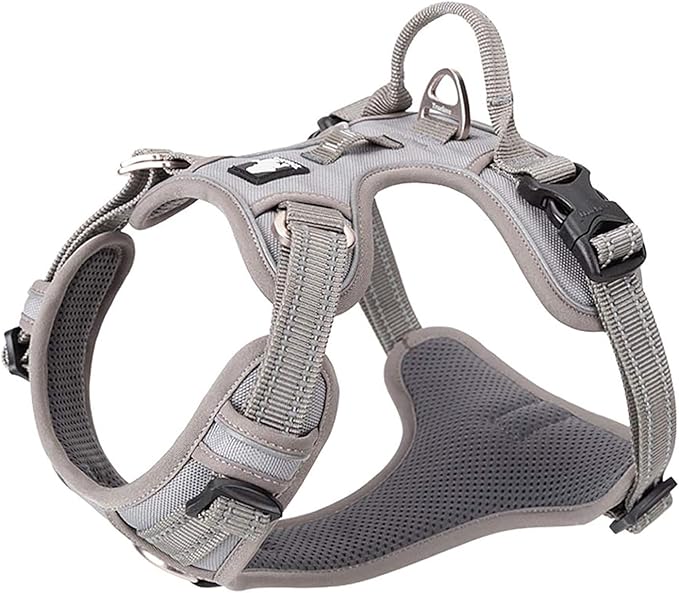 TRUE LOVE Dog Harness No Pull Nylon Reflective Pet Harness Adjustable Comfortable Control Step-in Brilliant Colors Truelove TLH56512 XS Gray