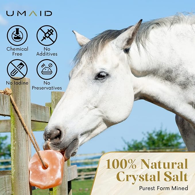 UMAID Himalayan Salt Lick 6 lbs On Rope for Horse, Deer, Goat, and Livestock Animals - Himalayan Salt Block 1 Pack