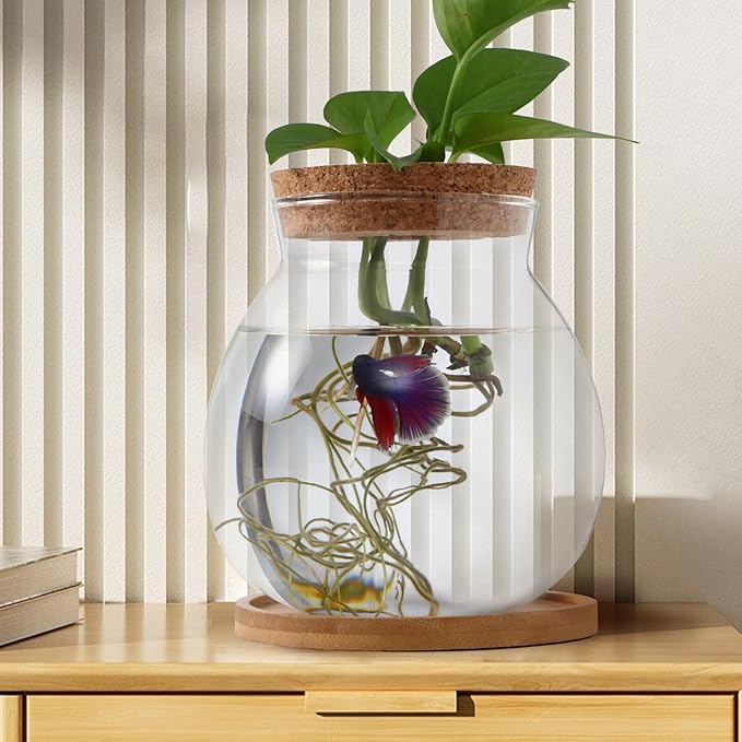 Desktop Fish Bowl Clear Glass Small Betta Fish Tank with Wood Lid and Bamboo Stand Table Hydroponic Plants Terrarium for Home Office Decoration 13 * 14cm