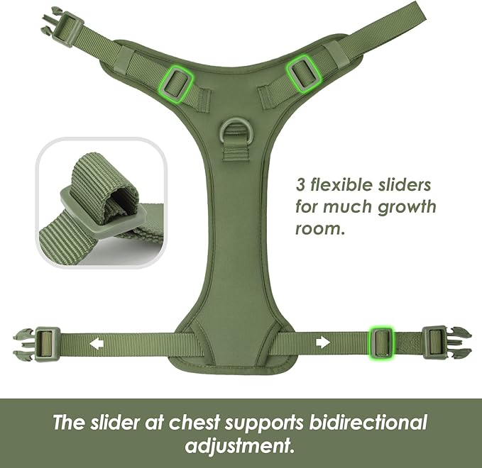 No Pull Dog Harness, Puppy Vest with Front Clip for Small Medium Large Sized Dog (Misty Green,M)