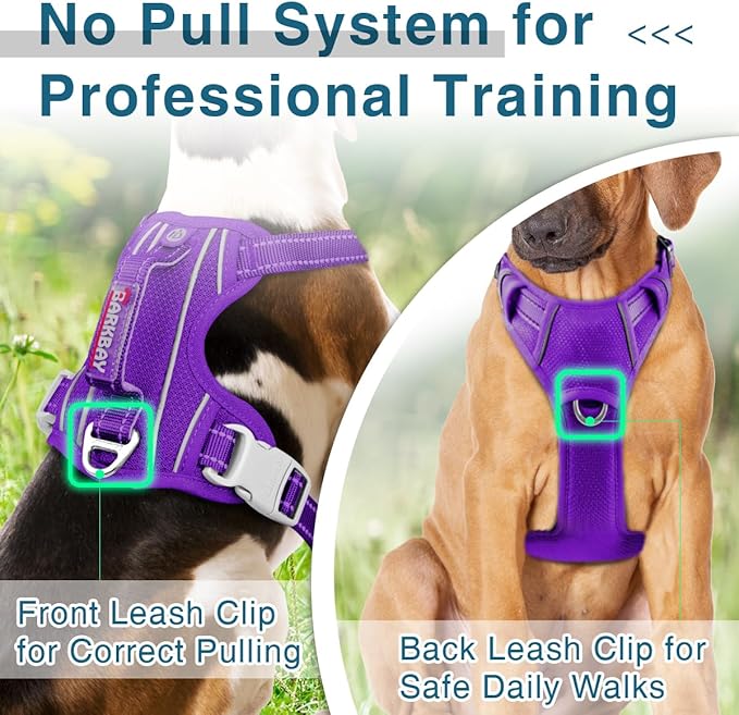 BARKBAY Dog Harness No Pull with ID Tag Pocket - Heavy Duty, Reflective, Easy Control for Large Dogs(Purple,L)