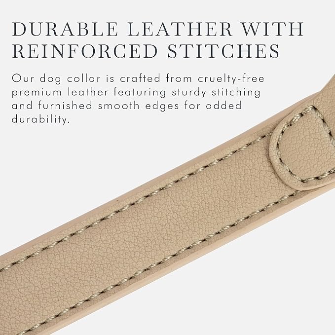 Cupertino Dog Collars, Harnesses & Leashes Made from Vegan Leather with Dog Tracker Device Holder Adjustable Dog Collar (Medium, Beige)
