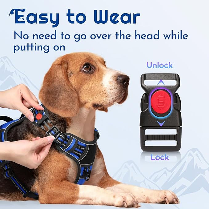 Eagloo Dog Harness Small Sized, Easy Wearing with 3 Buckles, Adjustable No Pull Pet Harness with 2 Rings for Walking, No Chock Reflective Soft Padded Vest with Control Handle, Blue & Black, S