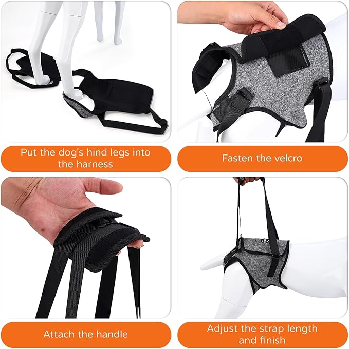 Dog Sling for Medium Large Dog Rear Leg, Lift Harness Provide Support with Muscle Atrophy and Joint Problems for Elderly Injured Arthritic Pet, Dog Weak Rear Legs Provides Rehabilitation Aid