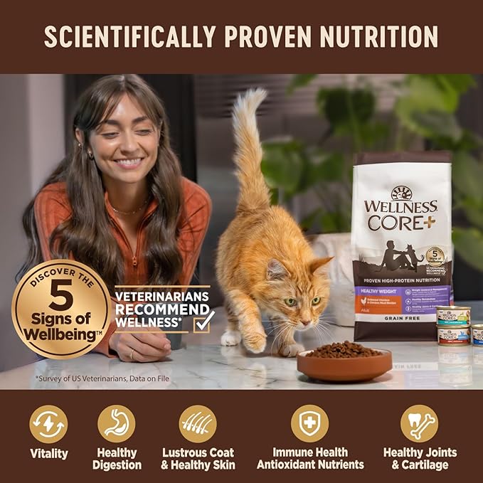 Wellness CORE+ Adult Dry Cat Food for Indoor and Outdoor Cats, Wholesome Grains, Natural, Digestive Health Salmon & Rice (11 Pound Bag)