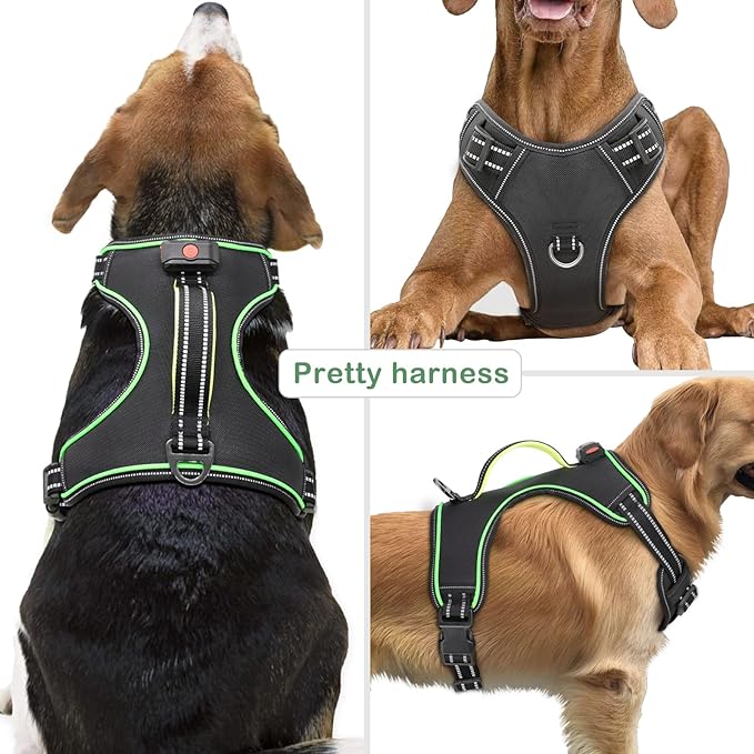 Rechargeable LED Dog Harness - No Pull, 4 Point Adjustable, Small/Medium/Large/X-Large Sizes