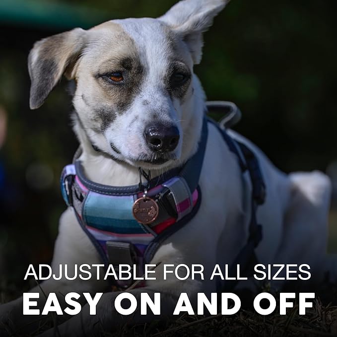 Embark Adventure Dog Harness, Reflective Trim No Pull Harness for Medium Sized Dog - Military Grade Nylon, Front Clip with Gel Lined Handle. Soft & Padded Puppy