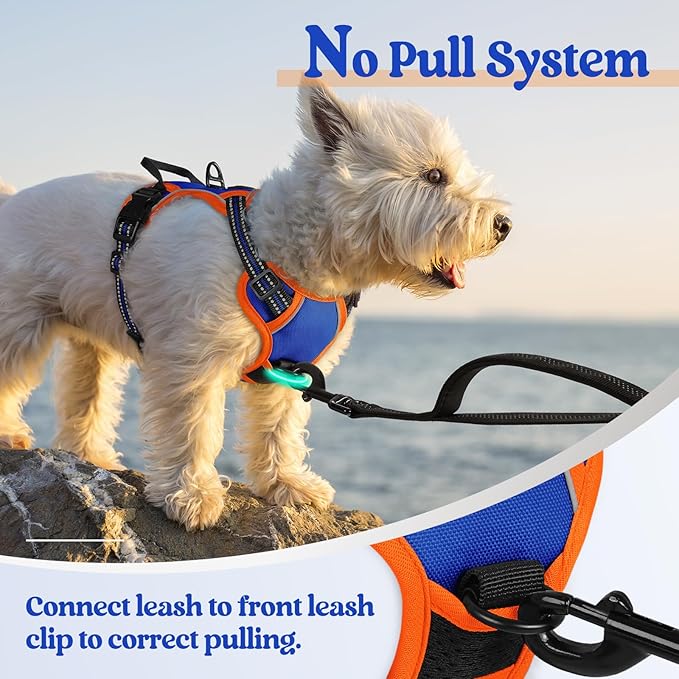rabbitgoo Dog Harness No Pull with 2 Leash Clips, Adjustable Soft Padded, Reflective Oxford No Choke Pet Vest with Easy Control Handle for Puppy, Blue & Orange, XS