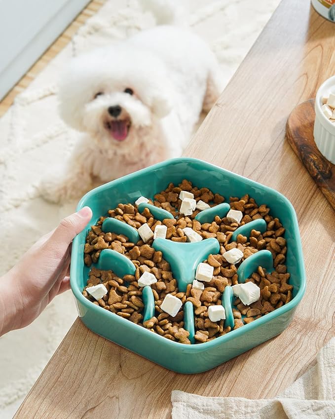 LE TAUCI PET Dog Slow Feeder Bowl Ceramic,3 Cups Puzzle Food Bowl for Small Medium Large Breed, Dog Bowls to Slow Down Eating, Maze