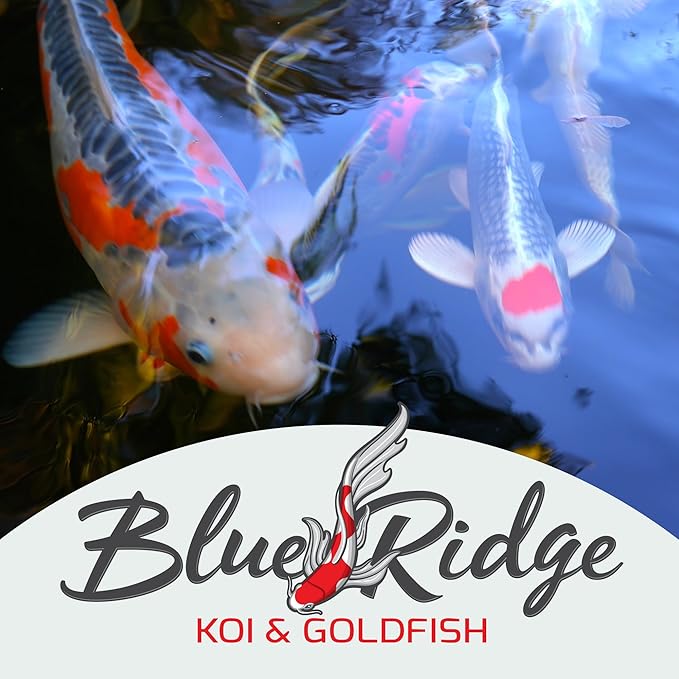 Blue Ridge Koi Fish Food 50lb - Koi Food Large 3/16" Growth Formula, Goldfish Food, Premium Fish Food for Ponds, Ponds Fish Food, Floating Pond Pellets