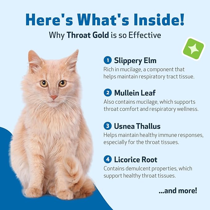 Pet Wellbeing Throat Gold for Cats - Supports Throat Comfort, Upper Respiratory Health, Occasional Throat Hoarseness, Slippery Elm, Mullein - Veterinarian-Formulated Herbal Supplement 4 oz (118 ml)