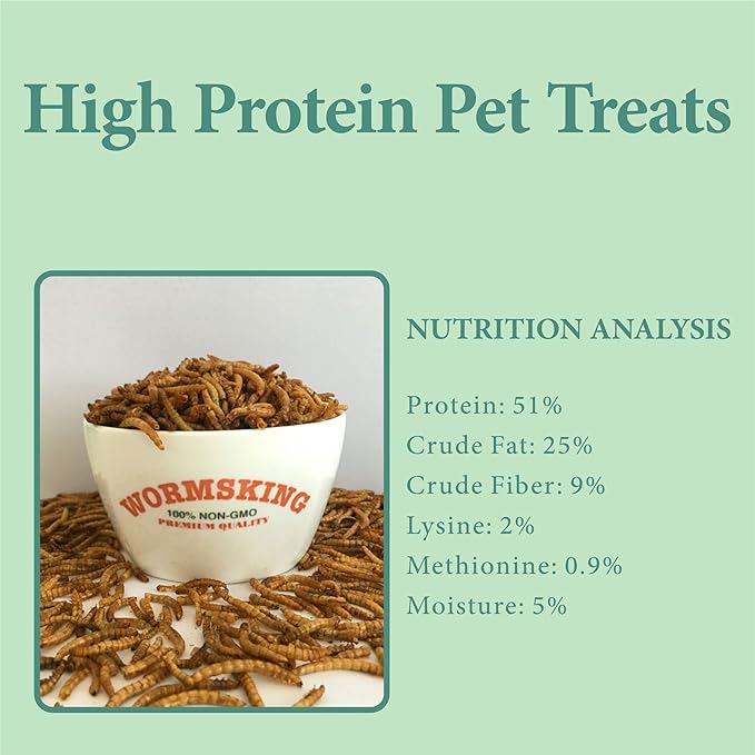 11 LBS Dried Mealworms, Non GMO, High Protein Treat for Chicken, Duck, Birds, Reptile, Hamster,Hedgehog
