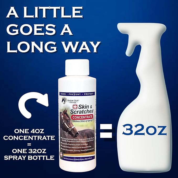 Show Out Skin & Scratches 4 oz Concentrate - Fast Relief and Prevention for Horse Care. Use on Equine Scratches/Mud Fever, Girth Itch, Mange, Thrush, Rain Rot, Ringworm, etc w/Empty Spray Bottle