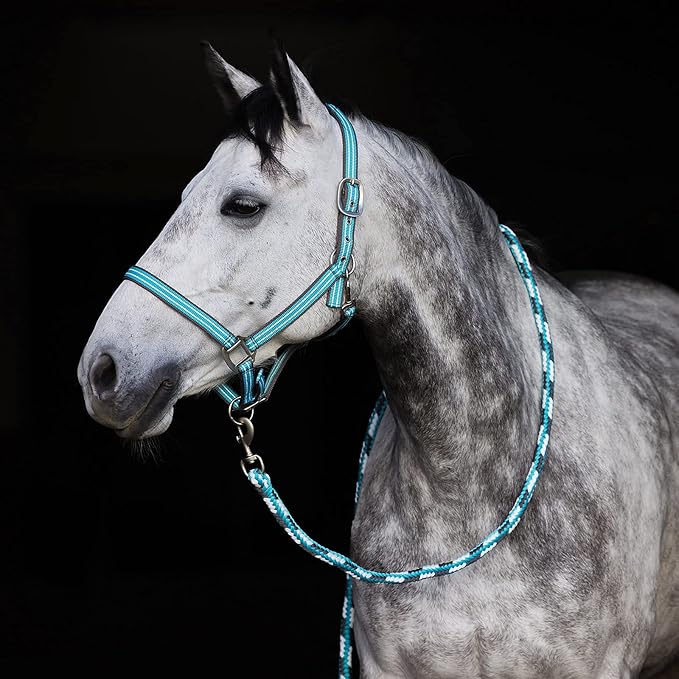 HORZE Adepto Adjustable Horse Halter | Soft, Durable Polyester - Canal Blue - Pony