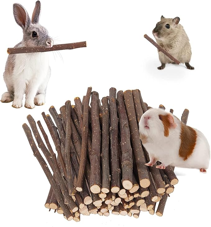 600g Apple Sticks Molar Wood Treats, Rabbit Toys Chinchilla Guinea Pig Bunny Toys Wood Chews Sticks for Teeth Rabbit Food Guinea Pig Hamster Gerbil Chews Small Animals Snacks(150 Pcs)