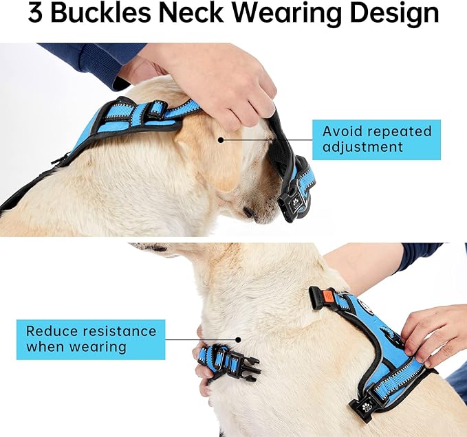 IVY&LANE No Pull Dog Harness for Medium Dogs, Dog Vest Harness with Leash, Safety Belt and Storage Strap, Fully Adjustable, 360 Reflective Strip, Soft Handle (Blue, M)