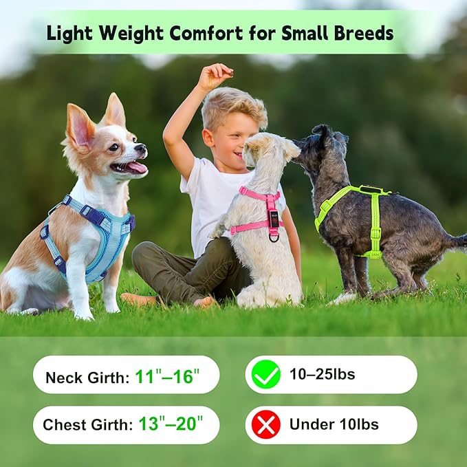 Rechargeable Light Up Dog Harness for Small Dogs – Adjustable LED Dog Vest with Reflective Strips, No Pull Glow in The Dark Puppy Harness for Night Walking Safety-Green