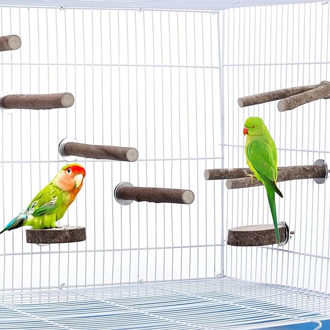 Allazone 10 PCS Natural Parrot Perch Bird Cage Accessories, Bird Platforms, Wood Stands, Grinding Fork Parakeet Platform for Small Lovebirds Budgies Cockatiels