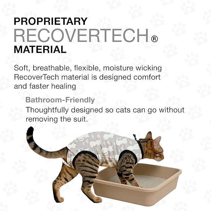 Bellyguard Cat Recovery Suit Female and Male, Comfy Onesie After Surgery, Kitten Clothes for Post-Op Care, Neuter and Spay Healing Outfits for Cats Only – Comfortable Kitten and Adult Cone Alternative
