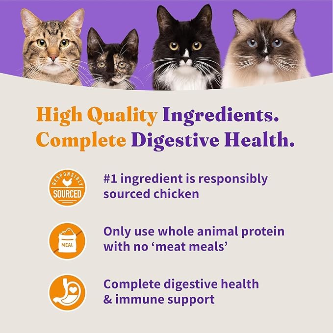 Halo Holistic Cage Free Chicken Cat Food, Healthy Grains Dry Cat Food, Complete Digestive Health, Kibble for Adult Cats, 6 lb Bag