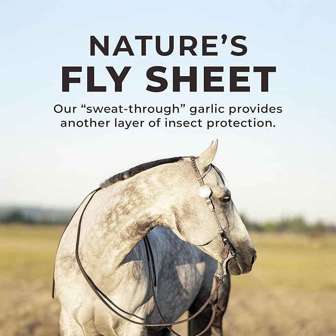 Redmond Daily Red Crushed Garlic | Horse Minerals & Vitamins Supplement | Garlic for Horses