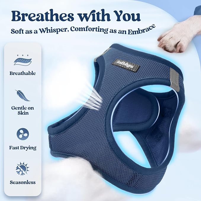 rabbitgoo Dog Harness Small Sized and Leash Set, Step in Soft Light Puppy Vest, Breathable Mesh Pet Harness, Reflective for Safe Outdoor Walking, Navy Blue XS